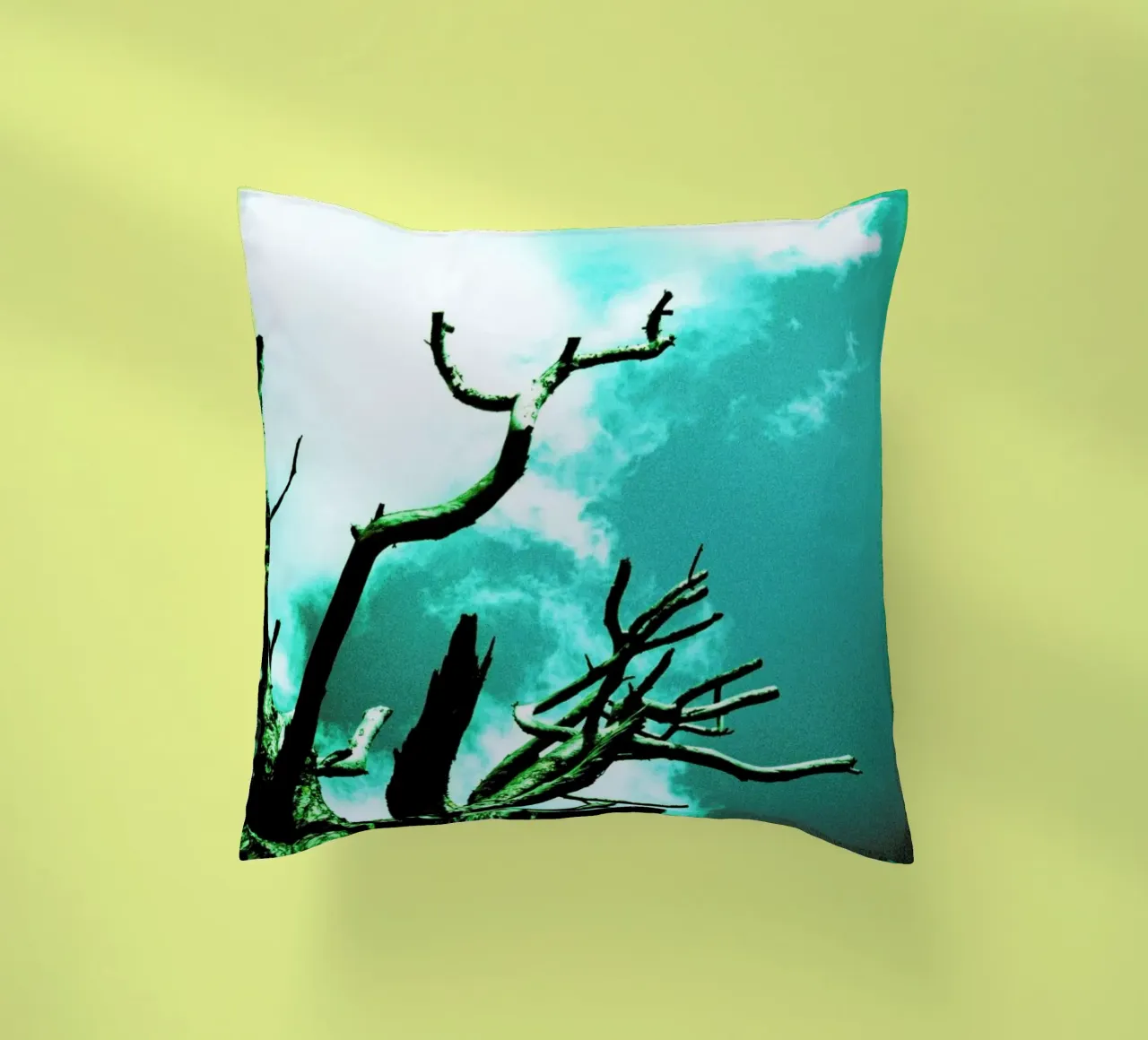 Brittle decorative cushion by BLAEK Design Studio