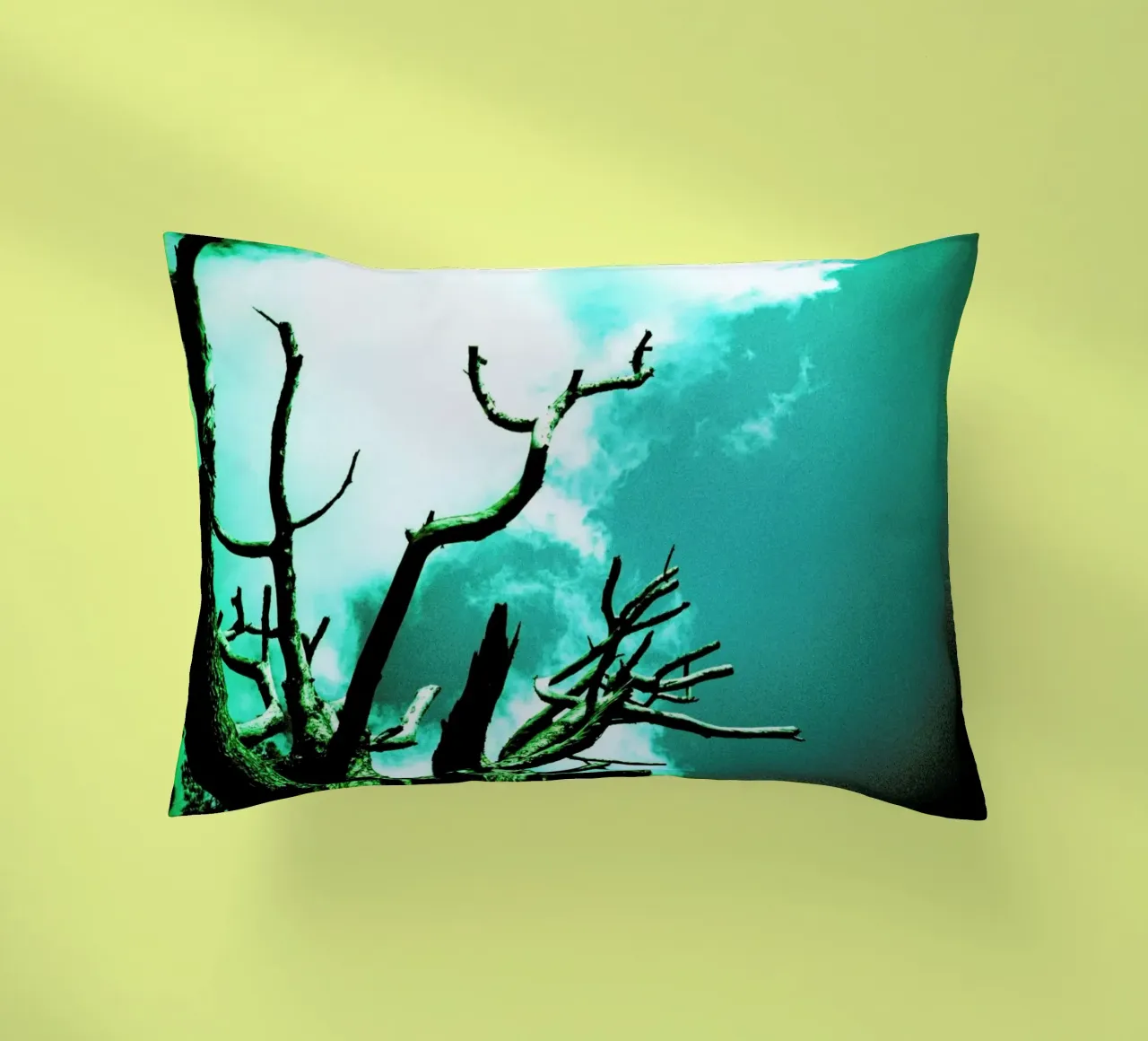 Brittle decorative cushion by BLAEK Design Studio