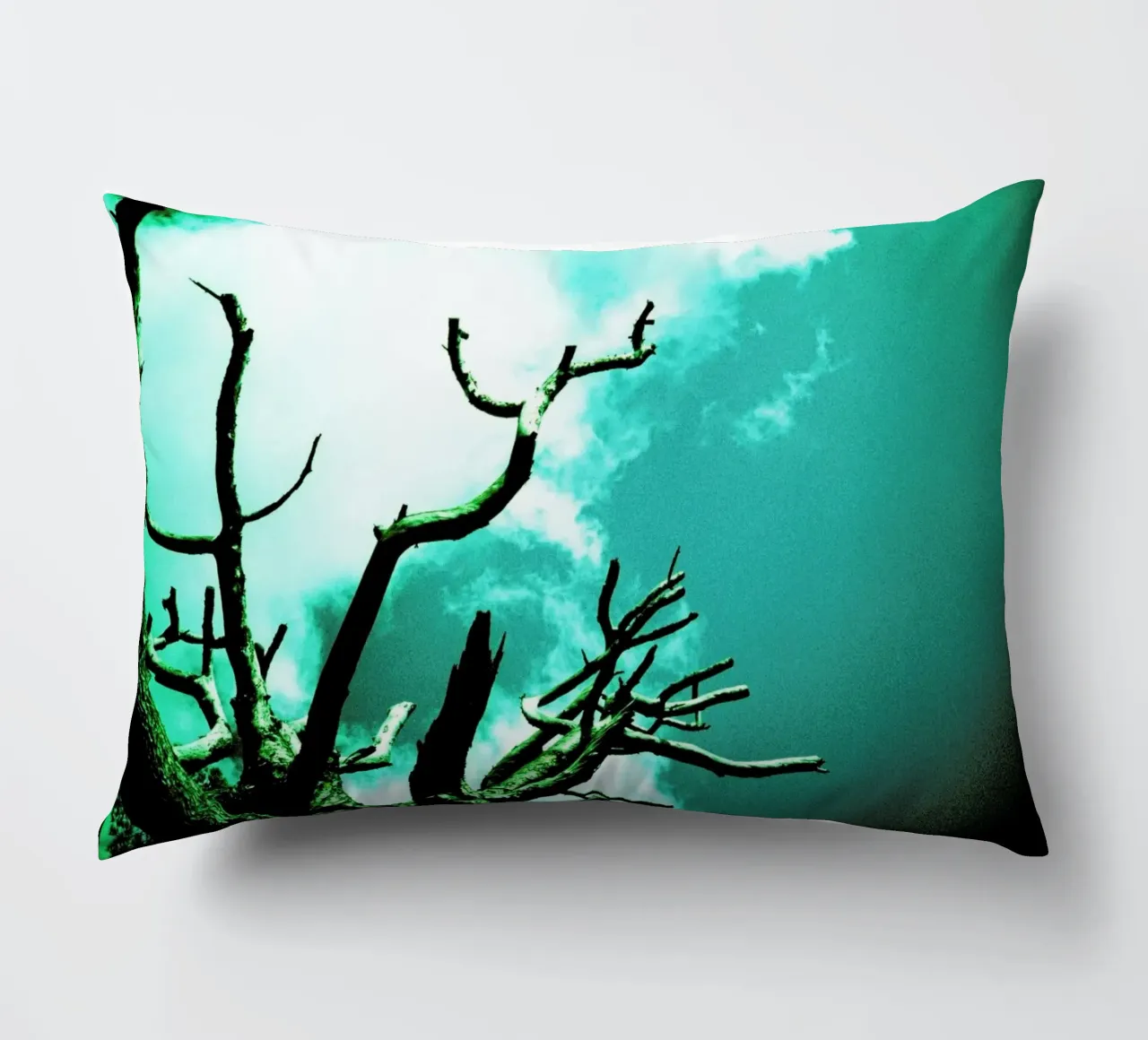 Brittle decorative cushion by BLAEK Design Studio