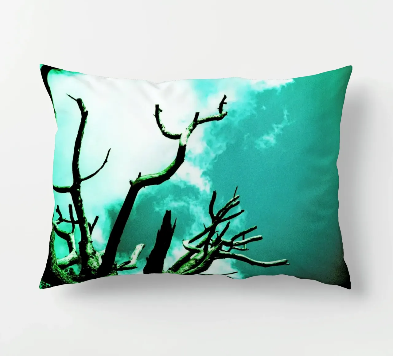 Brittle decorative cushion by BLAEK Design Studio