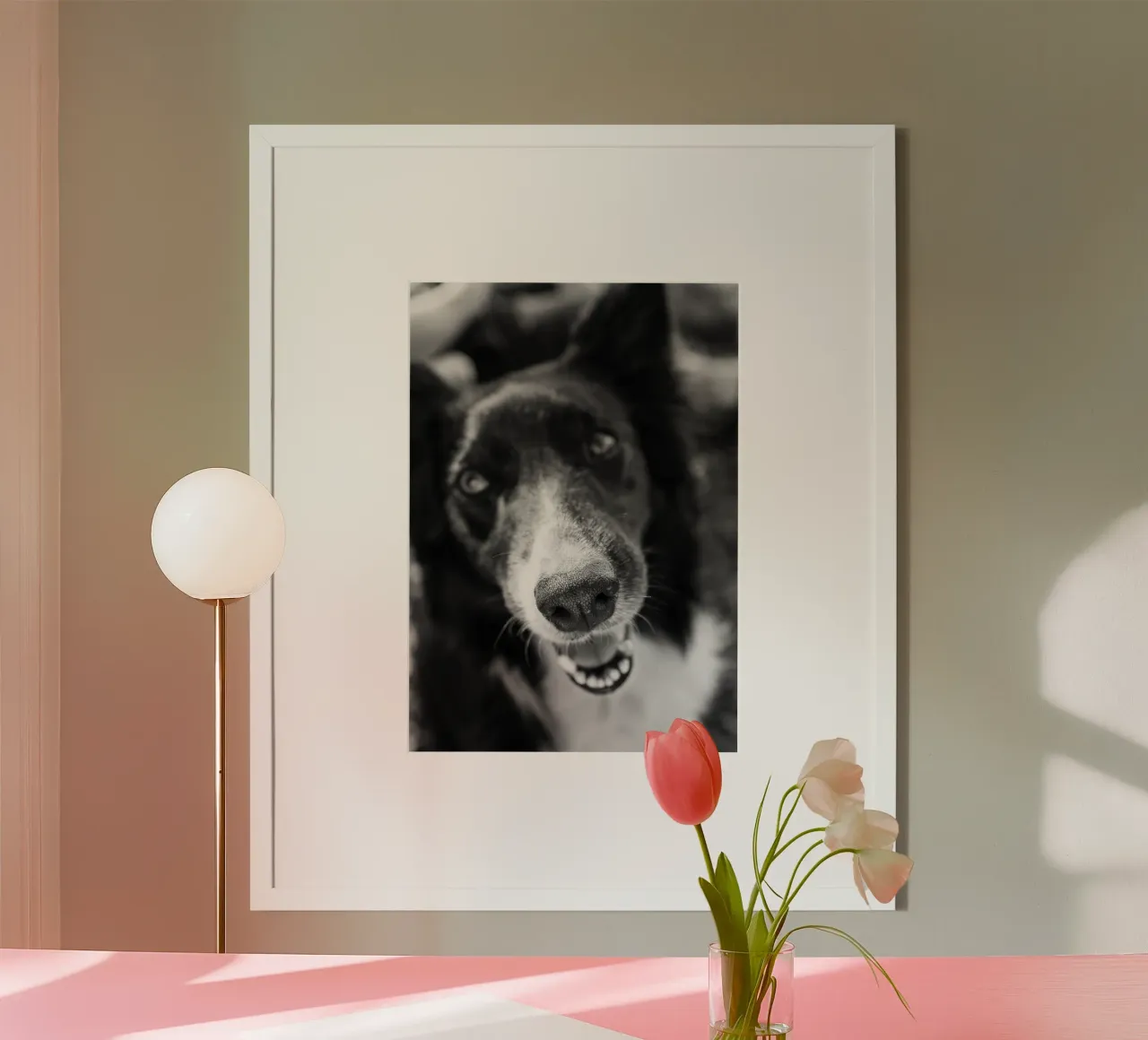 Cane nero poster con telaio in alluminio da rafael campezato