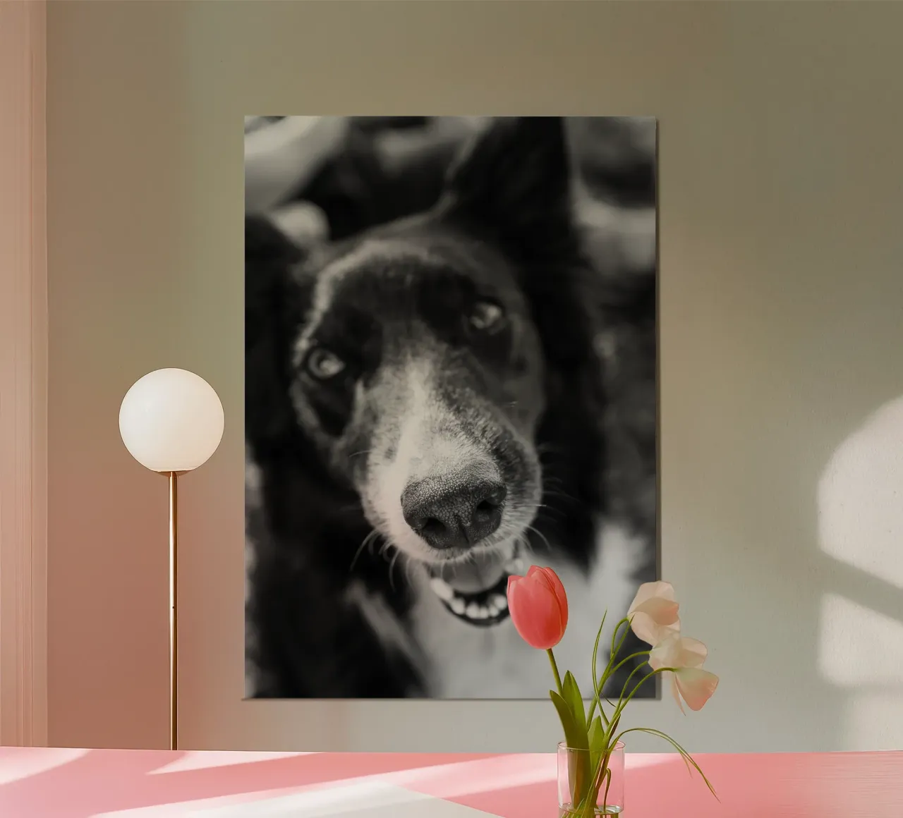 Cane nero poster con telaio in alluminio da rafael campezato