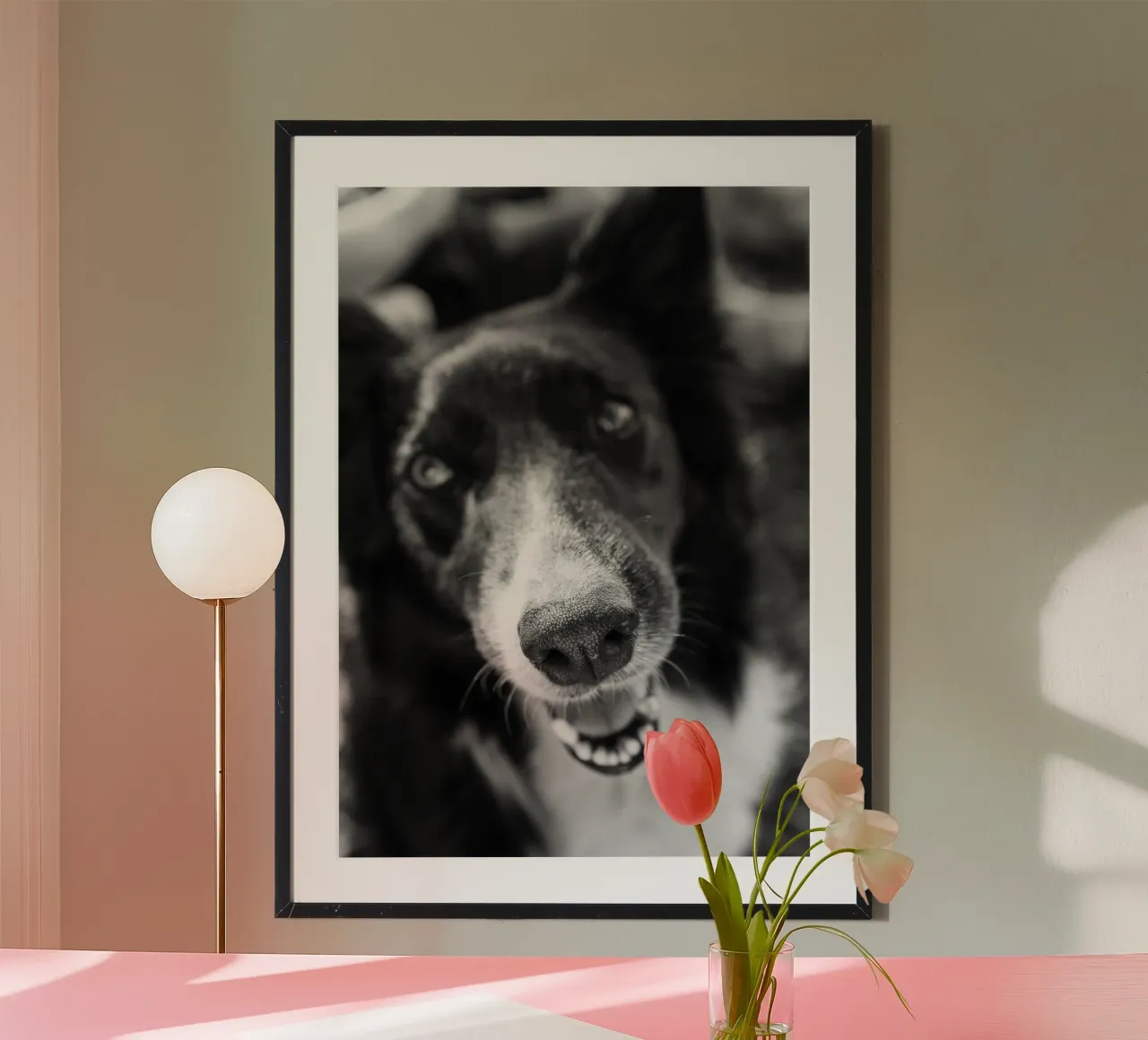 Cane nero poster con telaio in alluminio da rafael campezato