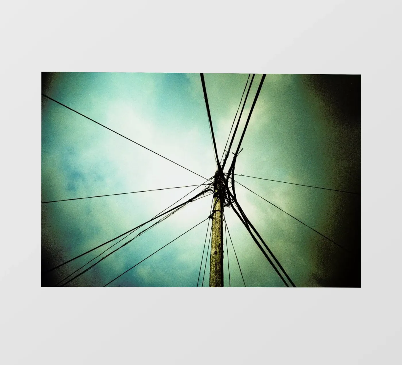 Tangle Backlit Folie von BLAEK Design Studio