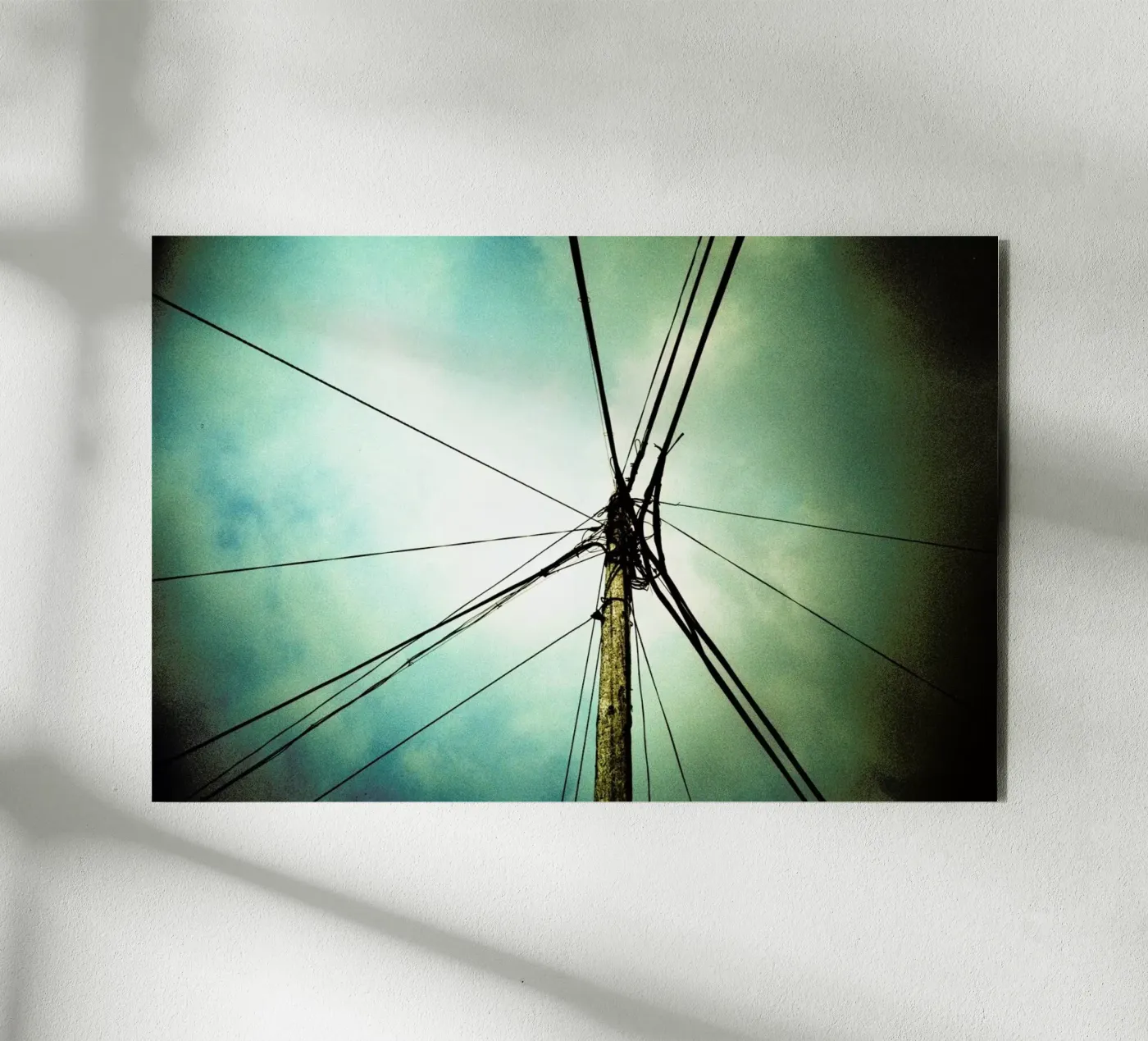 Tangle forex plate by BLAEK Design Studio