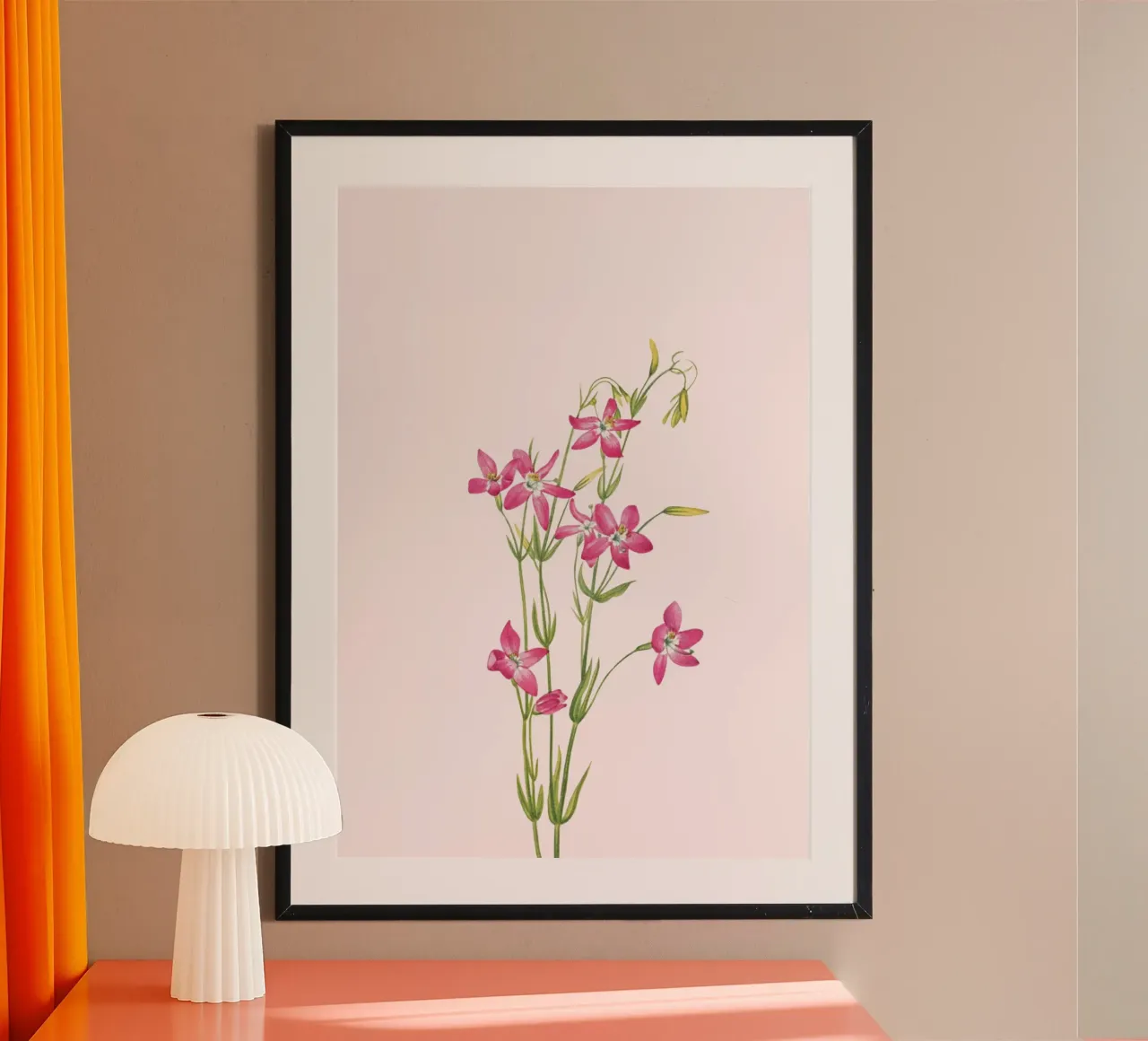 Illustrazione botanica di un fiore rosa vintage poster da vintagepod