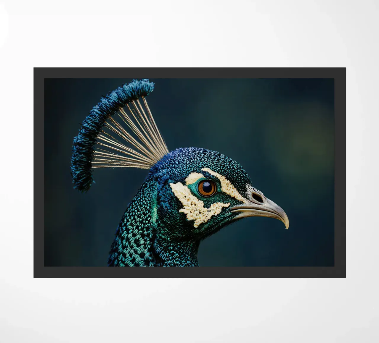 Peacock Portrait zerbino da Attaboy Dsgn