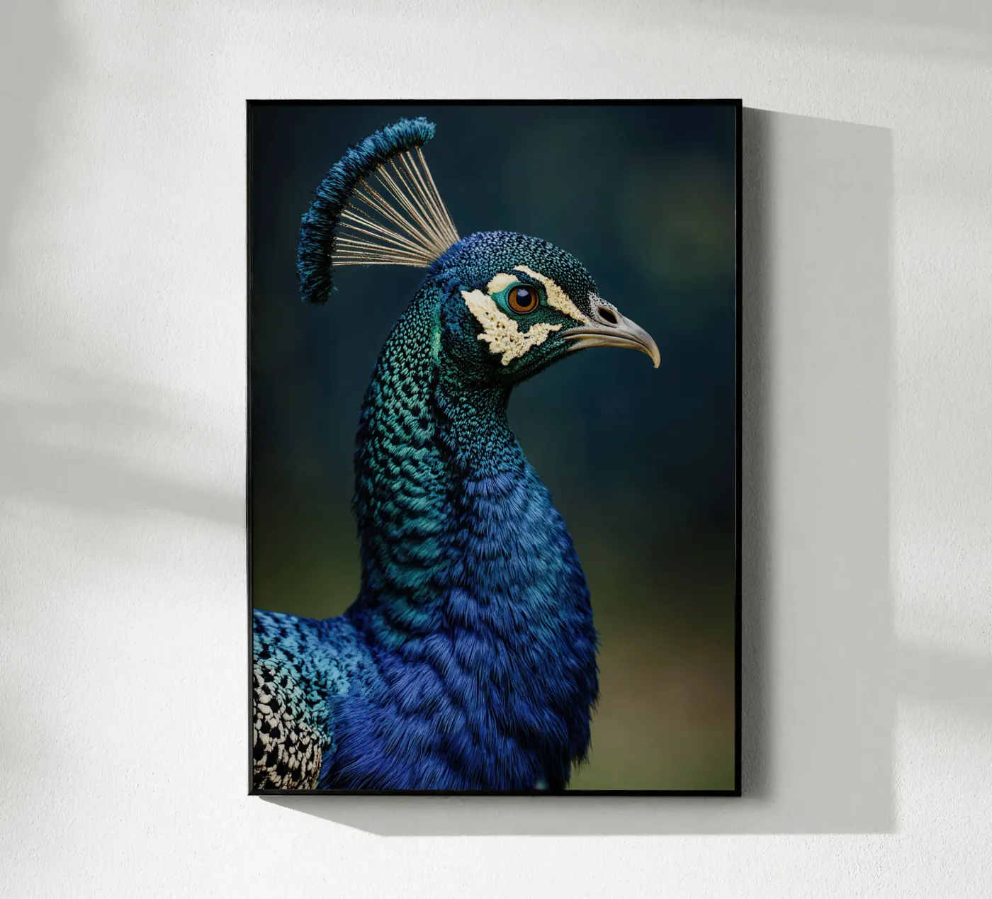 Peacock Portrait plexiglass da Attaboy Dsgn