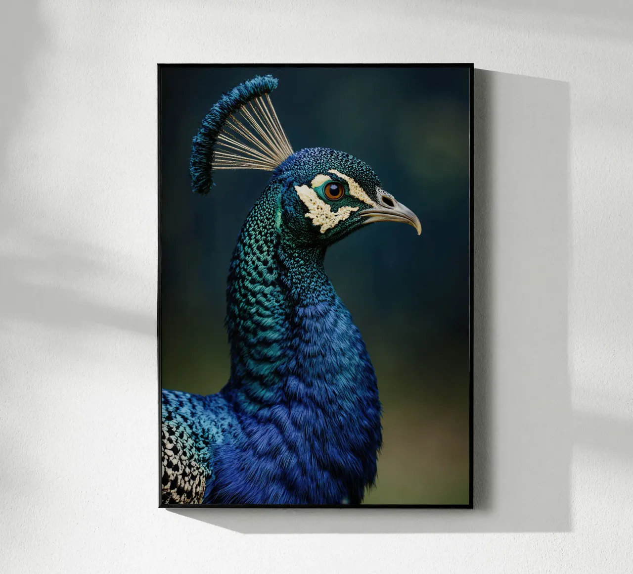 Peacock Portrait plexiglass da Attaboy Dsgn