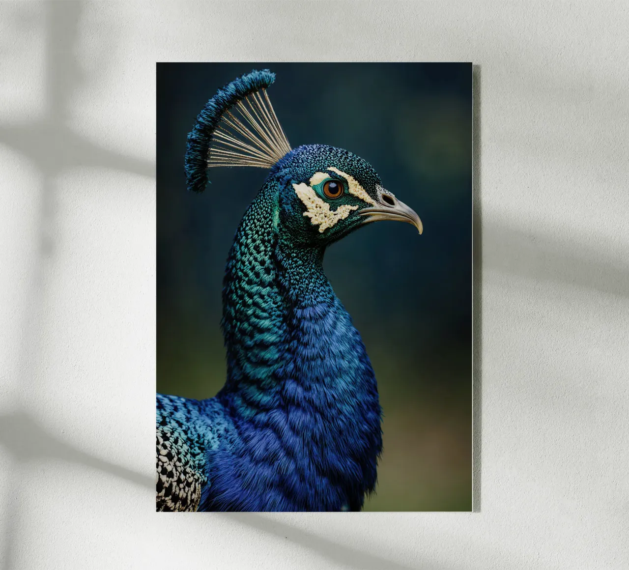 Peacock Portrait plexiglass da Attaboy Dsgn