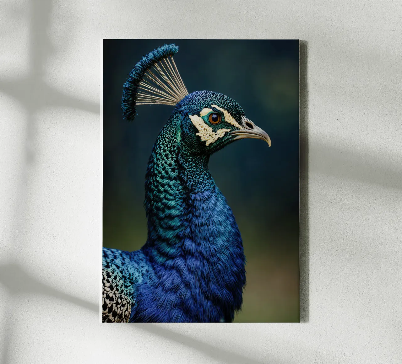 Peacock Portrait tela con Cornice a cassetta da Attaboy Dsgn