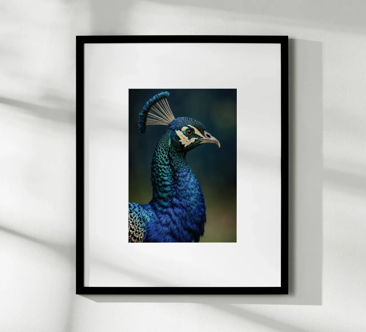 Peacock Portrait poster da Attaboy Dsgn
