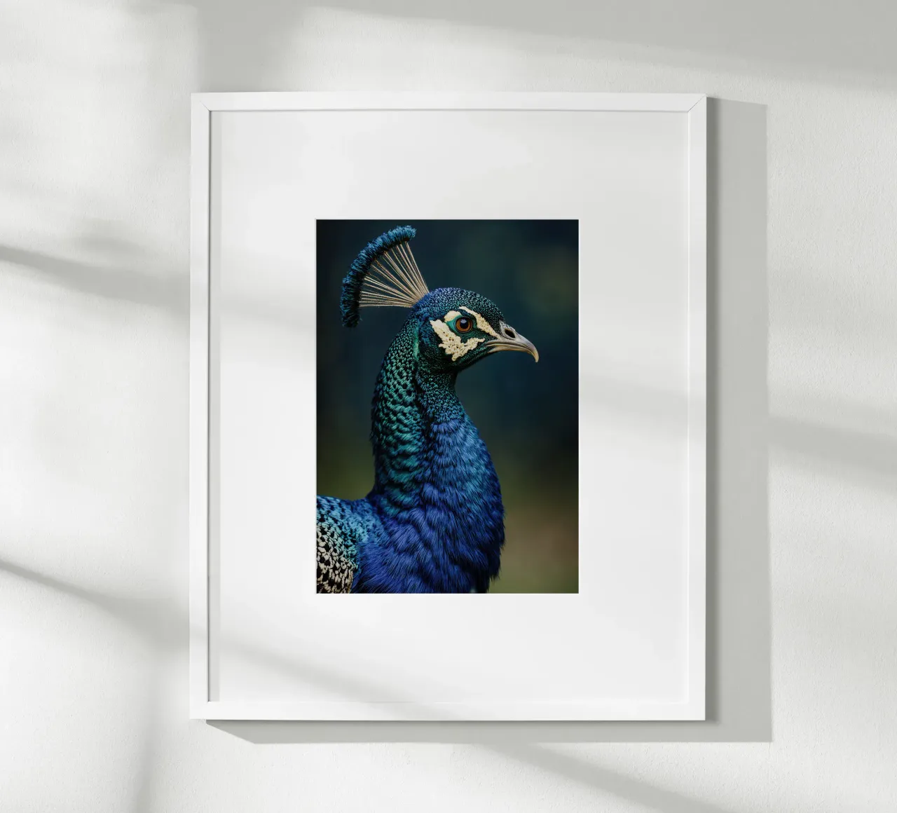 Peacock Portrait poster da Attaboy Dsgn