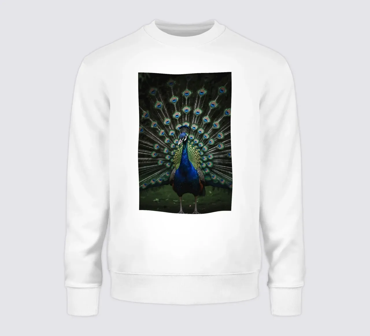 Peacock with Full Tail Display felpa da Attaboy Dsgn
