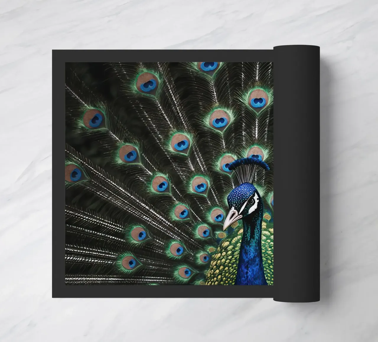 Peacock with Full Tail Display zerbino da Attaboy Dsgn