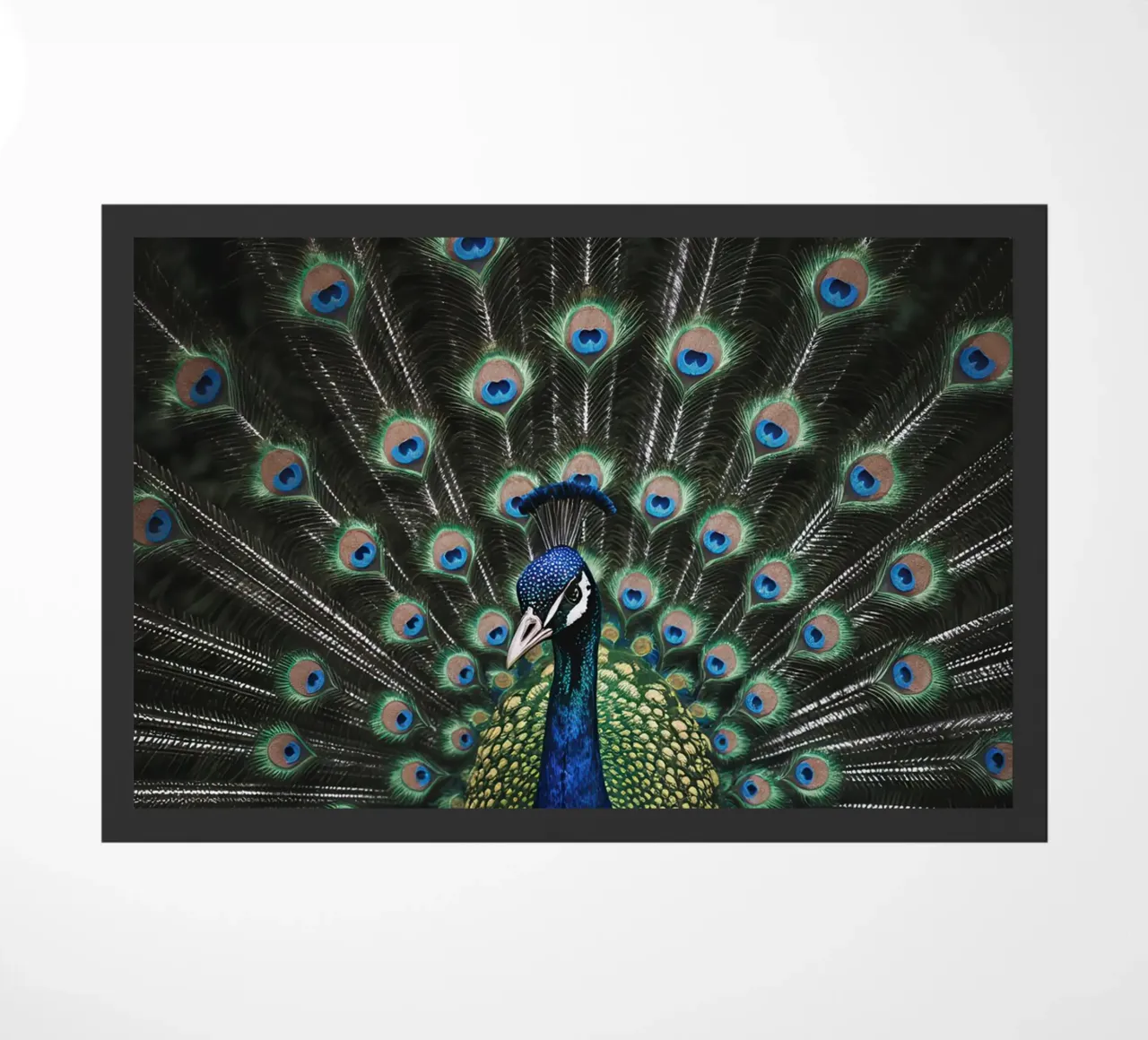 Peacock with Full Tail Display felpudo de Attaboy Dsgn