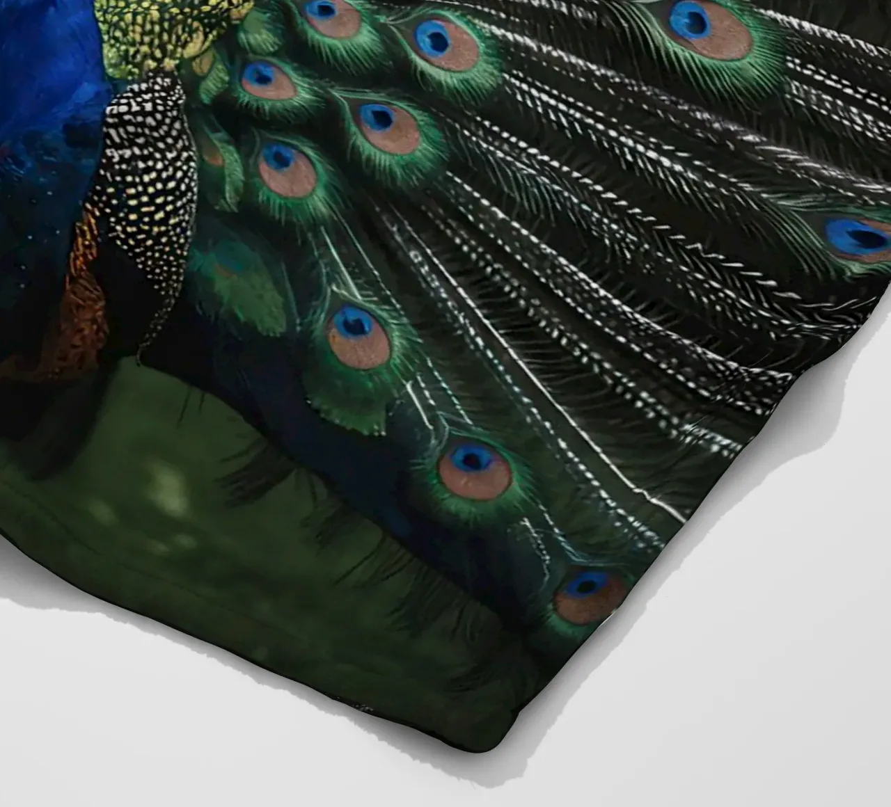 Peacock with Full Tail Display coperta in pile da Attaboy Dsgn