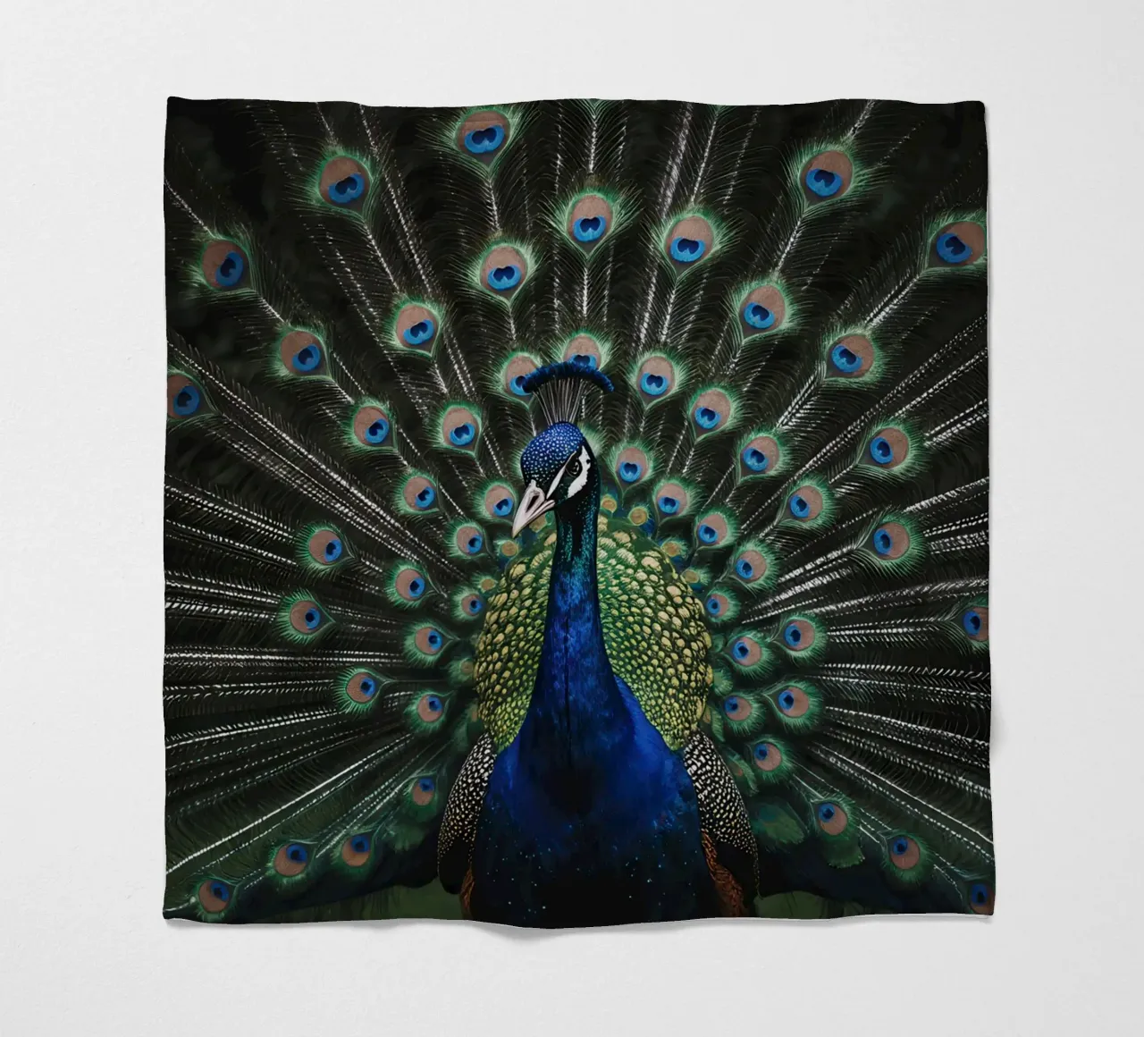 Peacock with Full Tail Display coperta in pile da Attaboy Dsgn