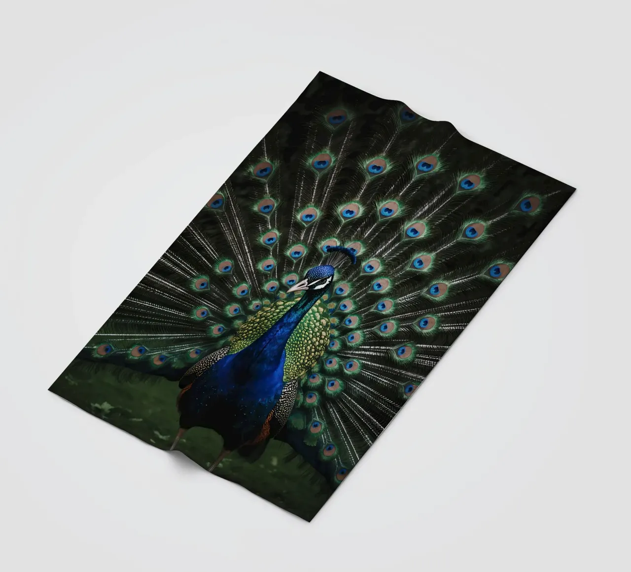 Peacock with Full Tail Display coperta in pile da Attaboy Dsgn