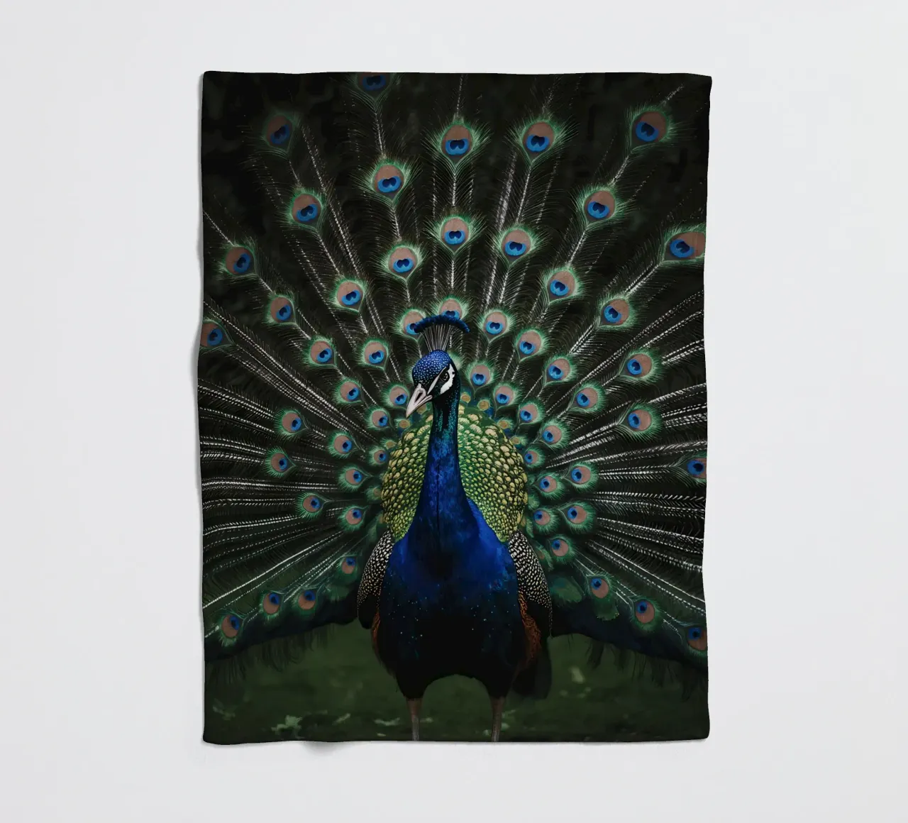 Peacock with Full Tail Display coperta in pile da Attaboy Dsgn