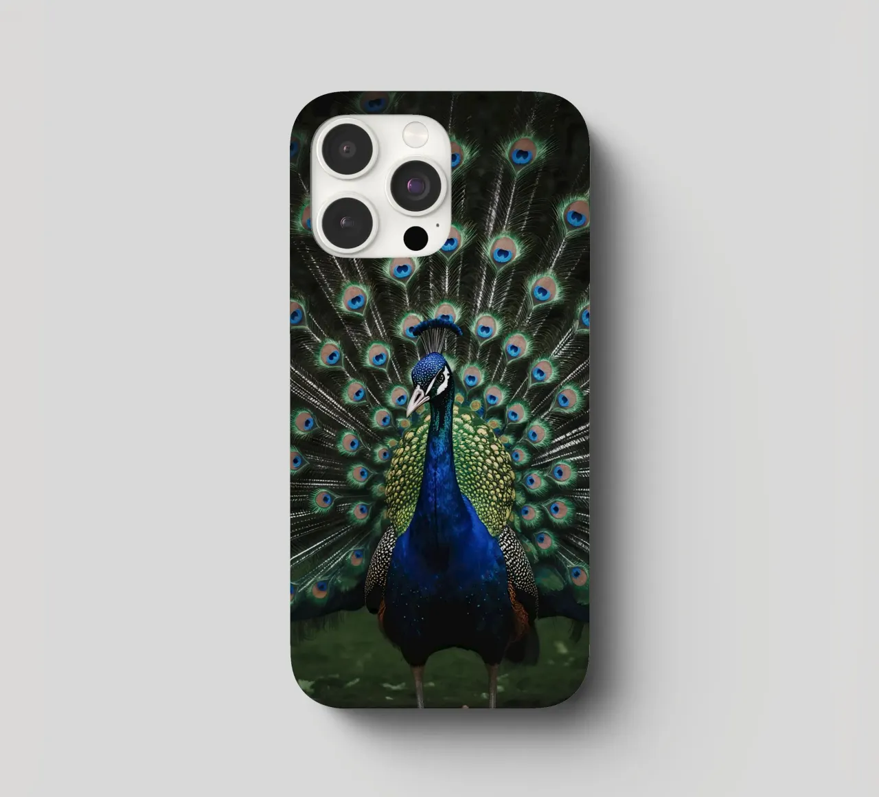 Peacock with Full Tail Display cover iphone da Attaboy Dsgn