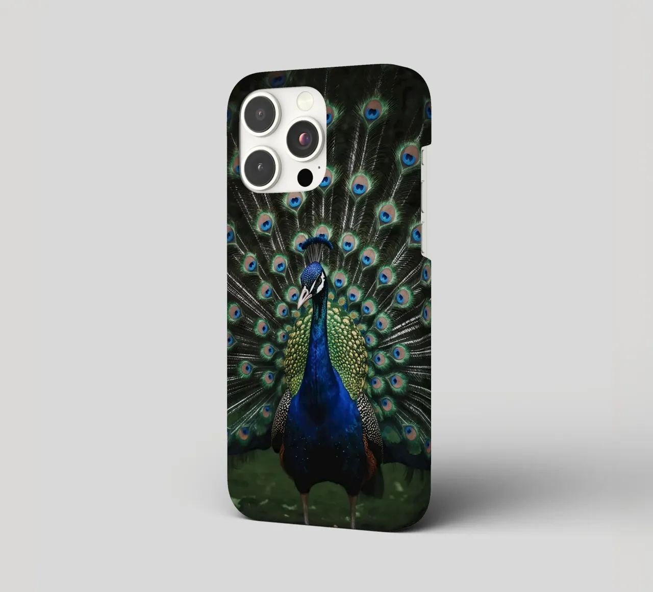 Peacock with Full Tail Display cover iphone da Attaboy Dsgn