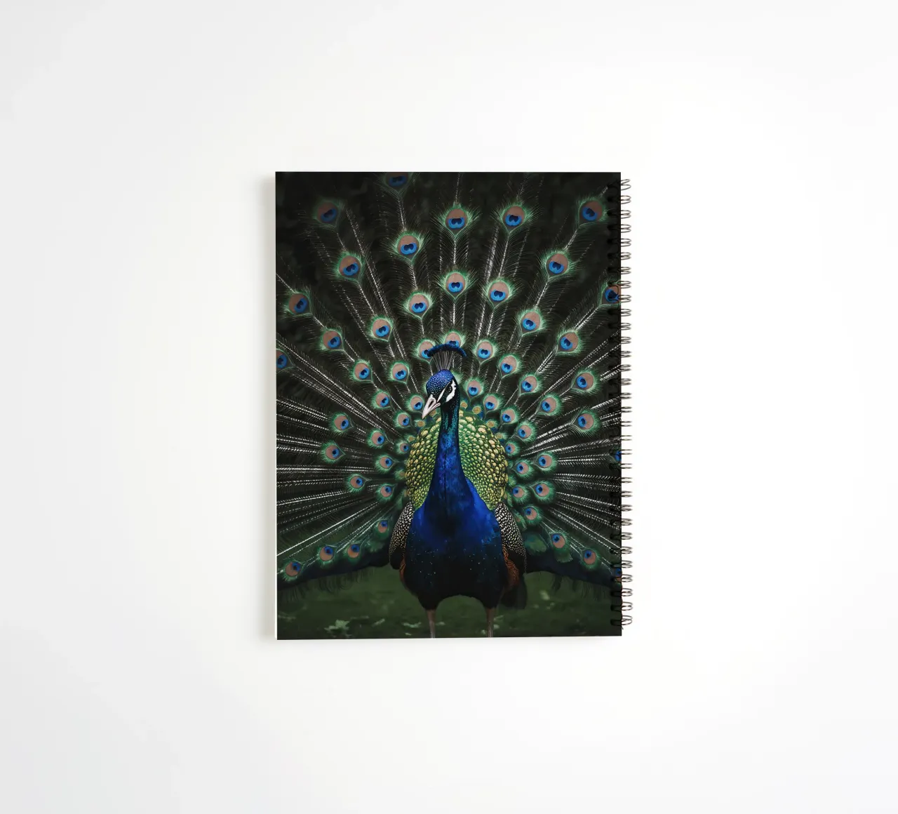 Peacock with Full Tail Display diario ad anelli da Attaboy Dsgn