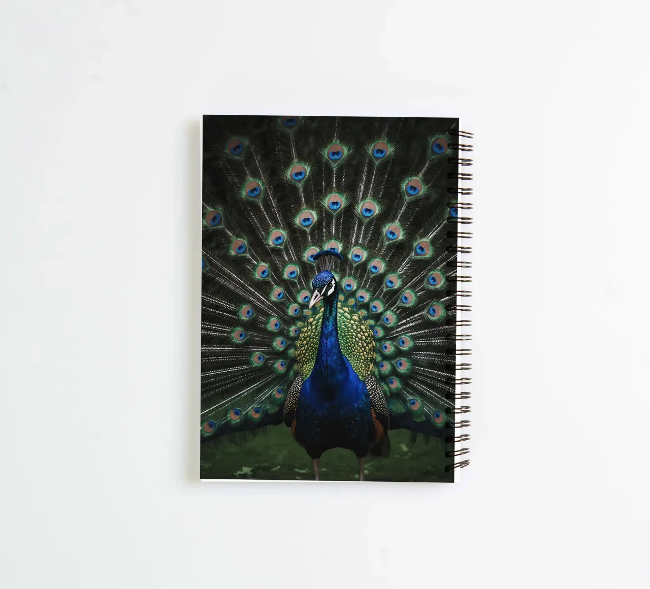 Peacock with Full Tail Display diario ad anelli da Attaboy Dsgn