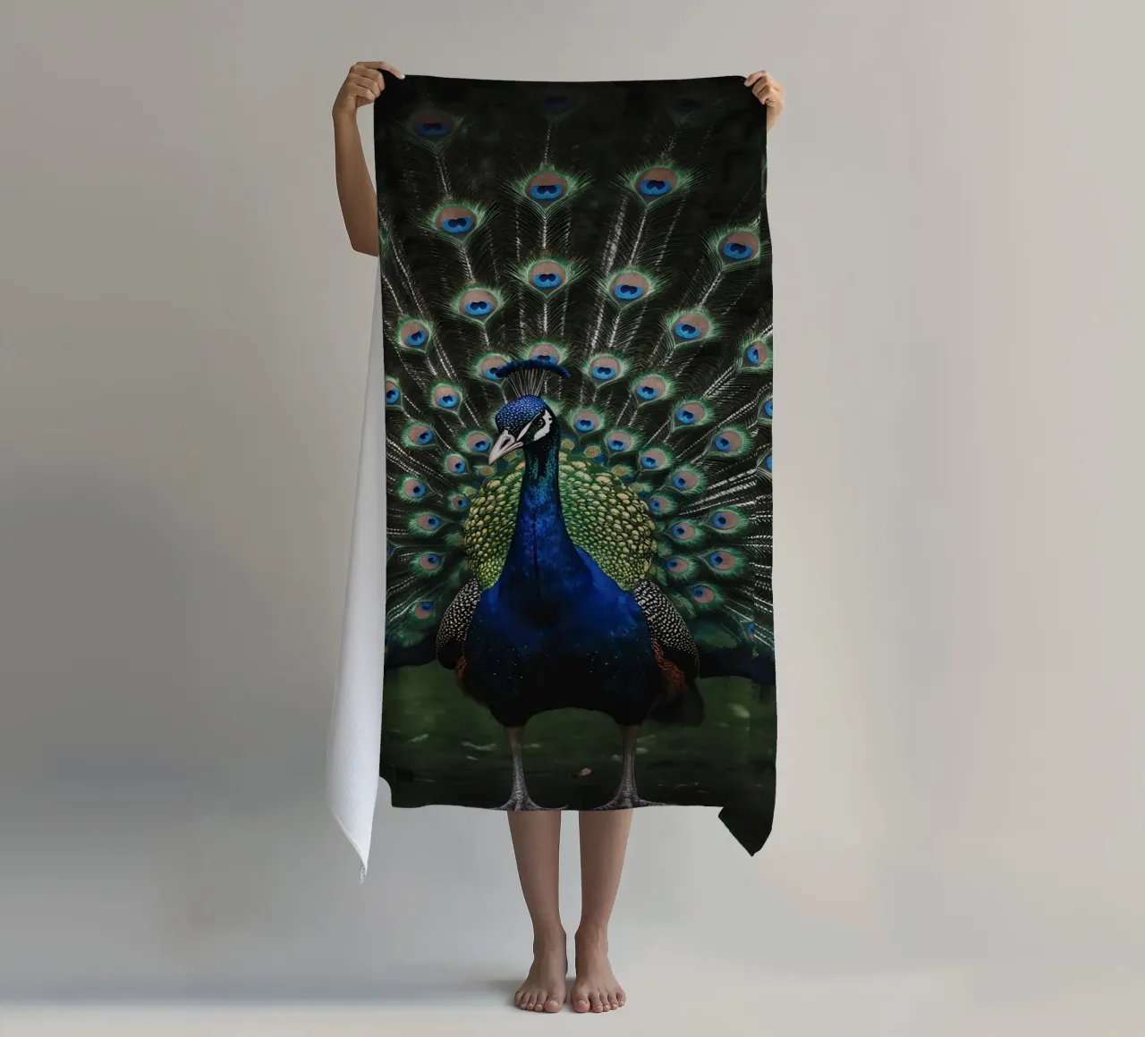 Peacock with Full Tail Display telo mare da Attaboy Dsgn