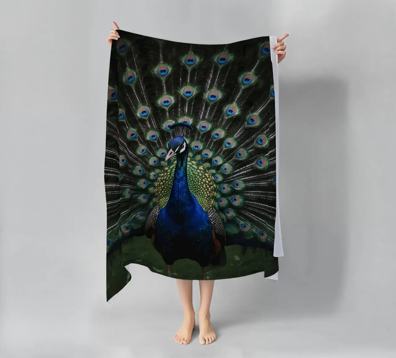 Peacock with Full Tail Display telo mare da Attaboy Dsgn
