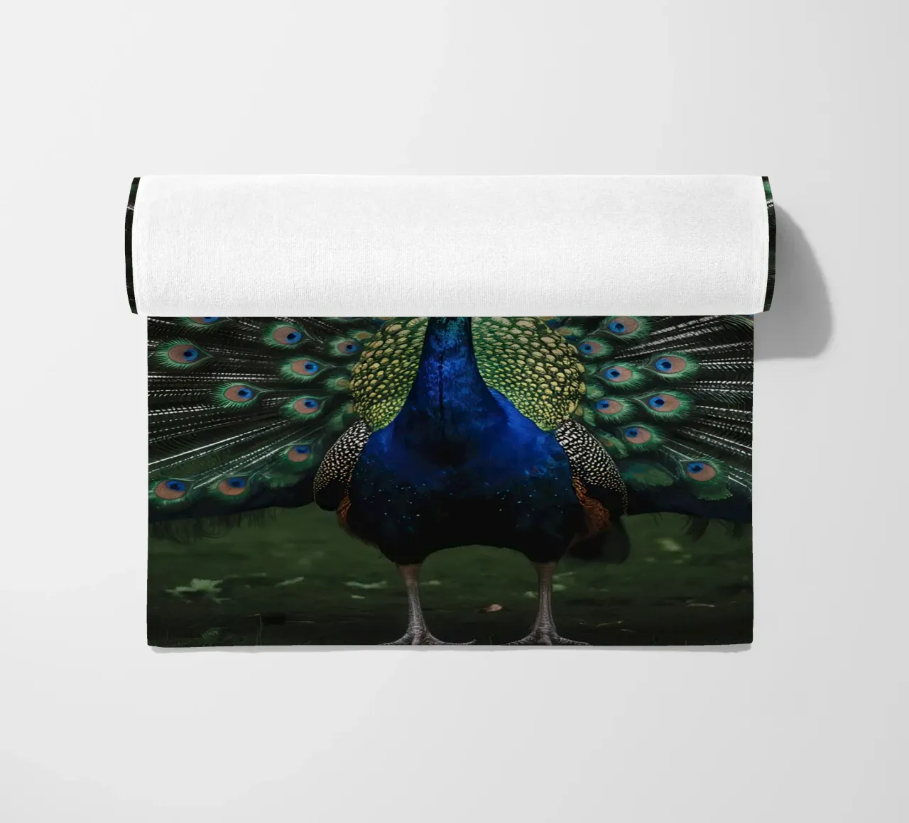 Peacock with Full Tail Display telo mare da Attaboy Dsgn