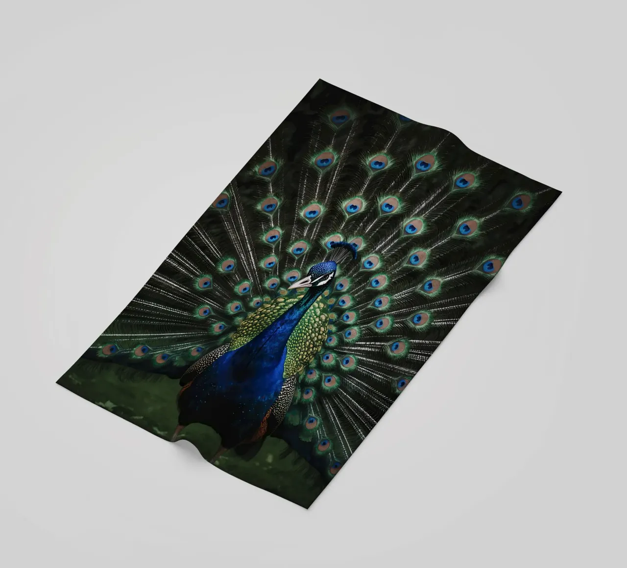 Peacock with Full Tail Display telo mare da Attaboy Dsgn