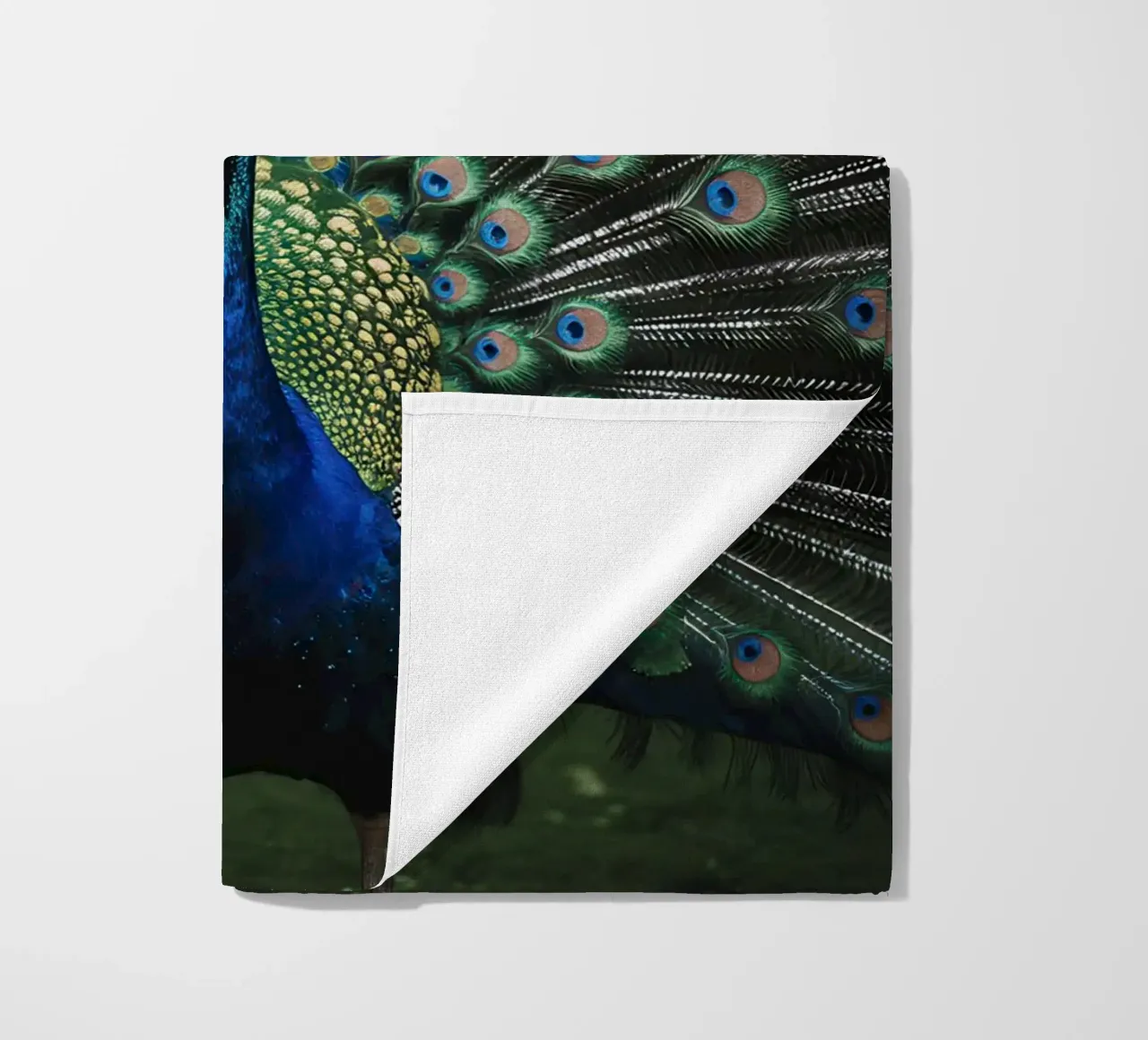 Peacock with Full Tail Display telo mare da Attaboy Dsgn