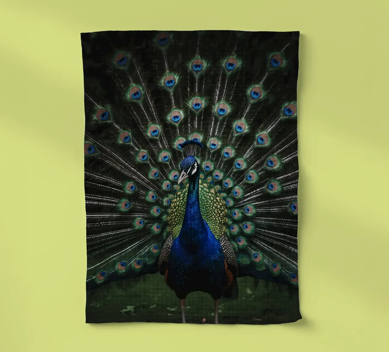 Peacock with Full Tail Display Geschirrtuch von Attaboy Dsgn