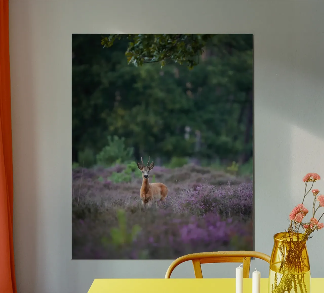 Maschio di capriolo poster da Tom's Wildlife