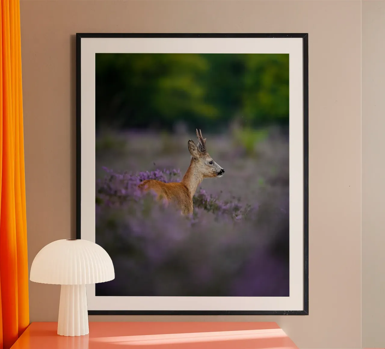 Capriolo in erica viola poster da Tom's Wildlife
