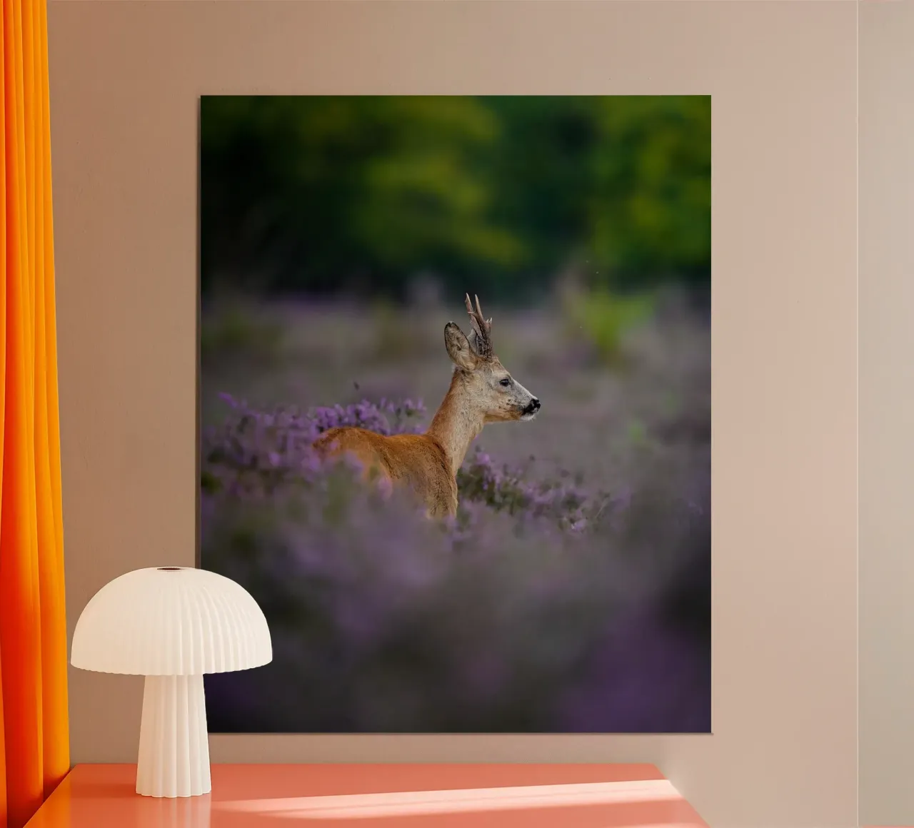Capriolo in erica viola poster da Tom's Wildlife