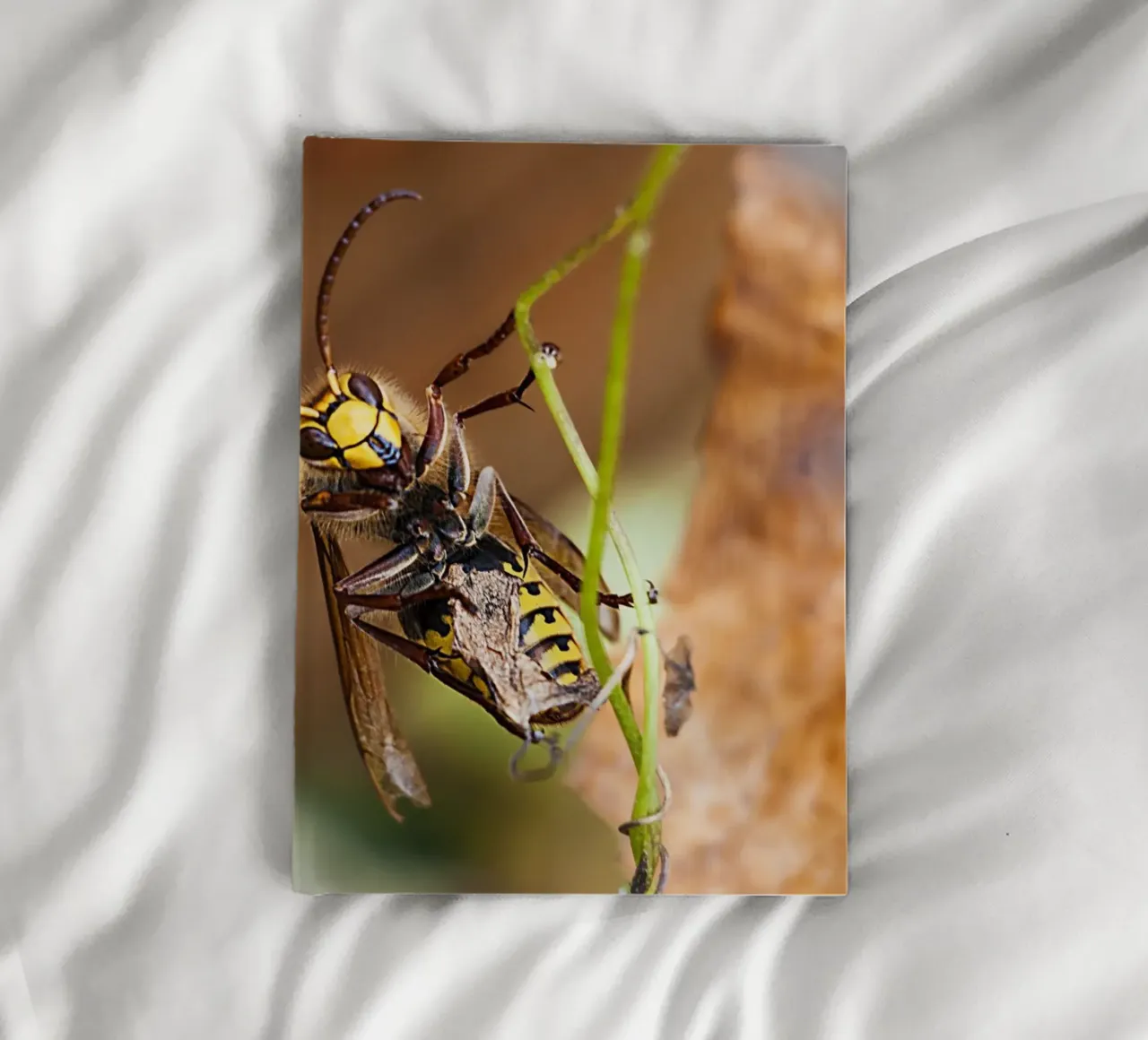 Bee Gaze - Close-Up Fine Art Print notebook by jay
