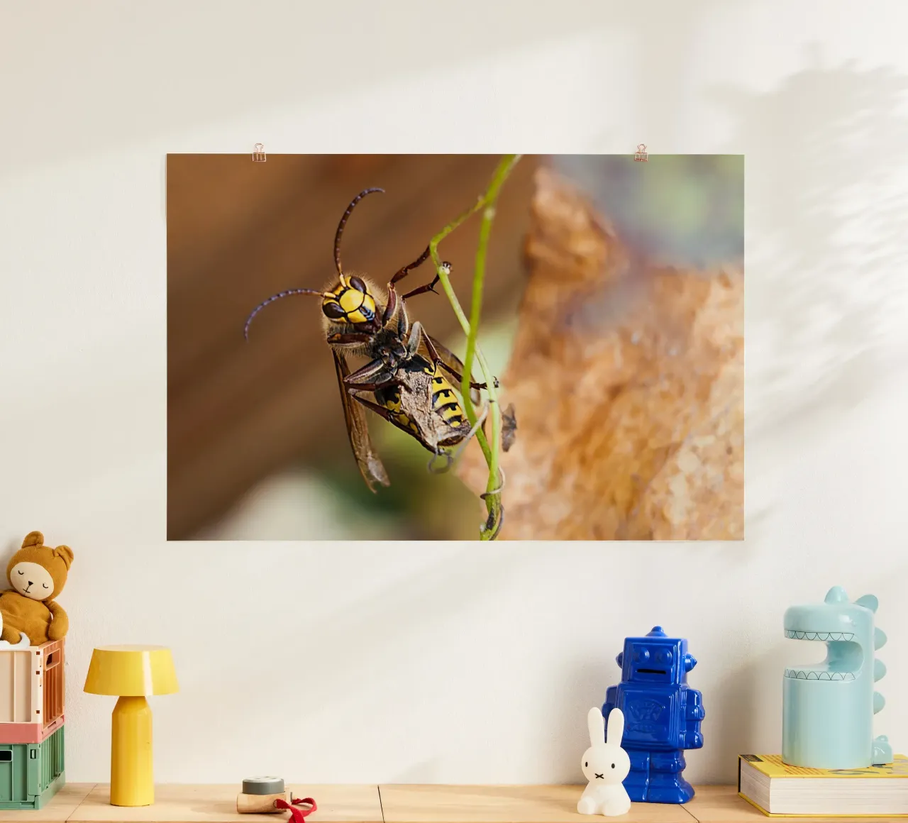 Bee Gaze – Close-Up Fine Art Print Poster mit Aluminium Rahmen von jay