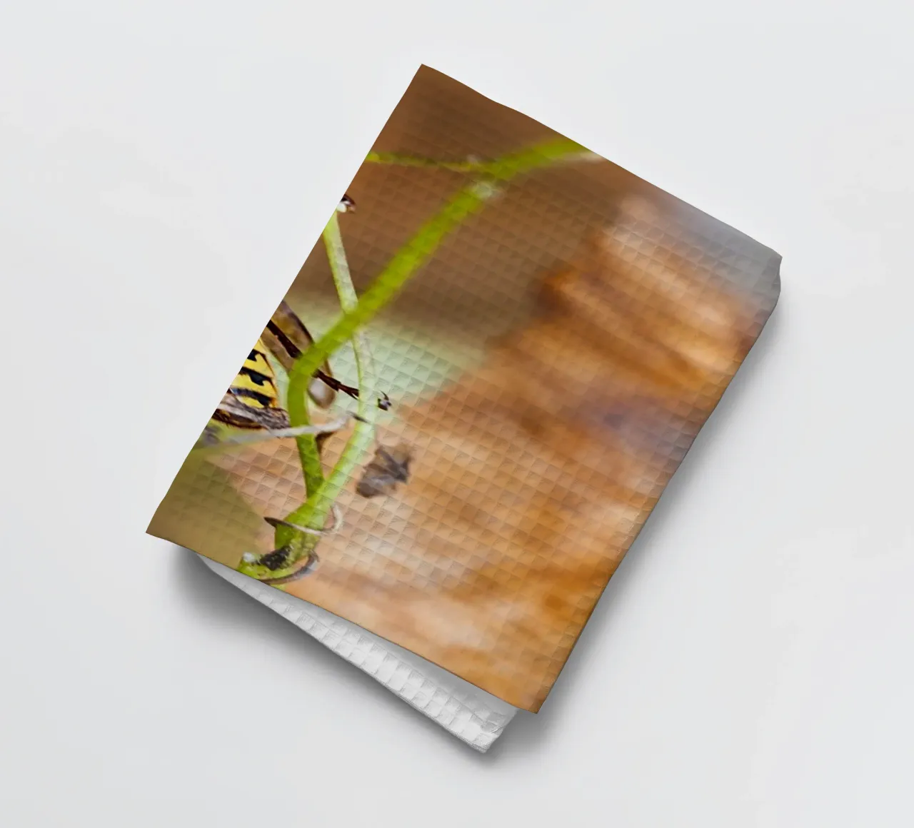 Bee Gaze - Close-Up Fine Art Print torchon de jay