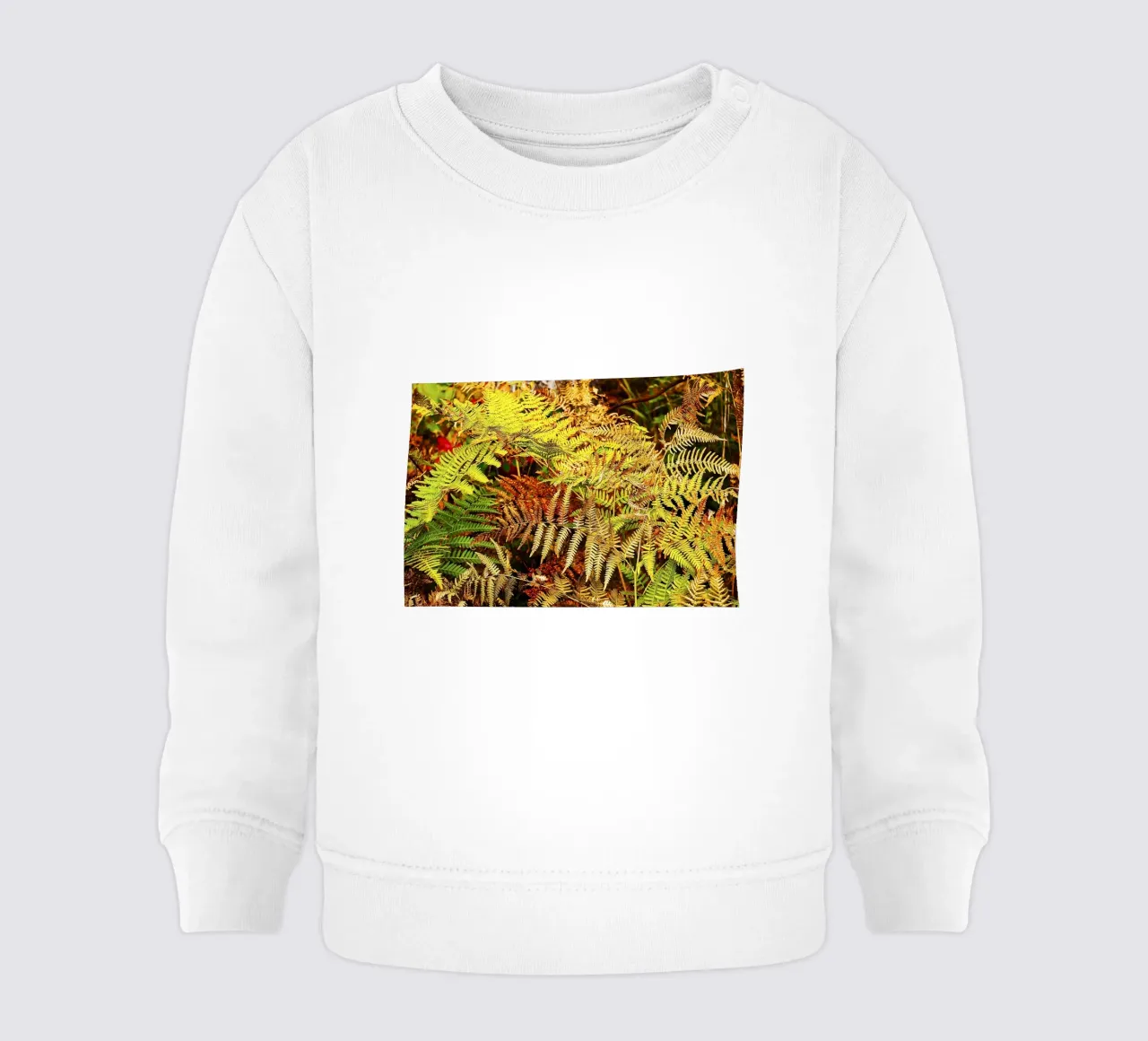Felci d'autunno - Stampa botanica fine art felpa neonato da jay