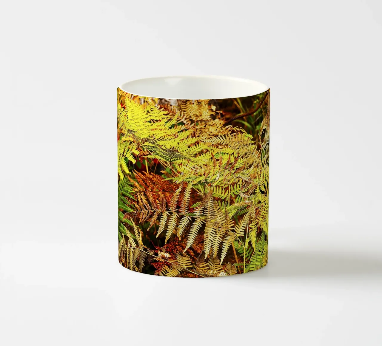 Felci d'autunno - Stampa botanica fine art tazza in ceramica da jay