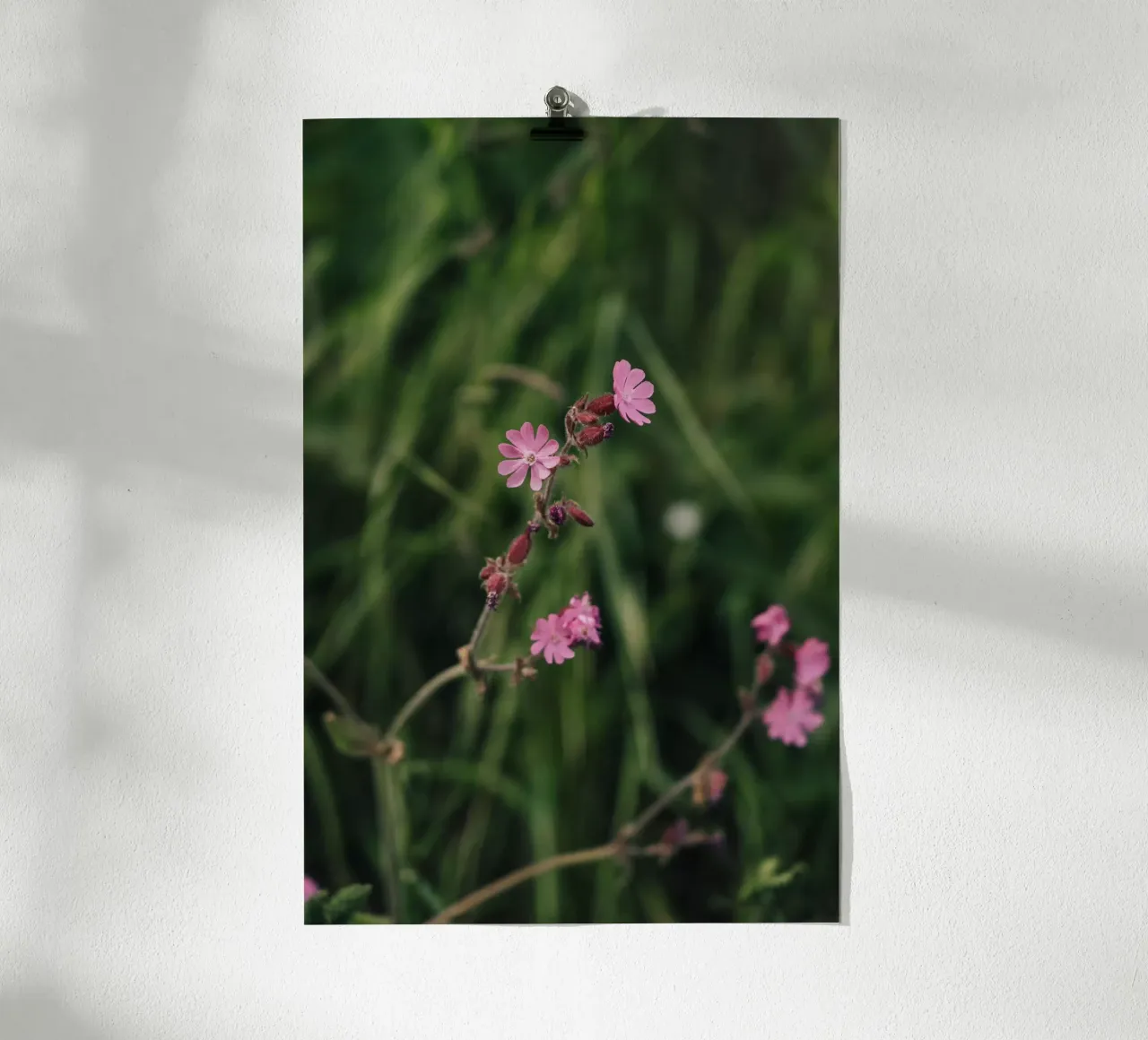 Grace Amidst Darkness poster da Lena Stamm