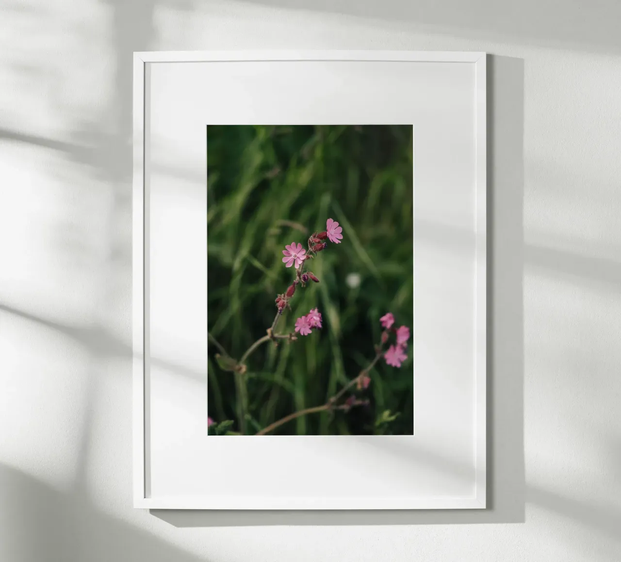 Grace Amidst Darkness poster da Lena Stamm