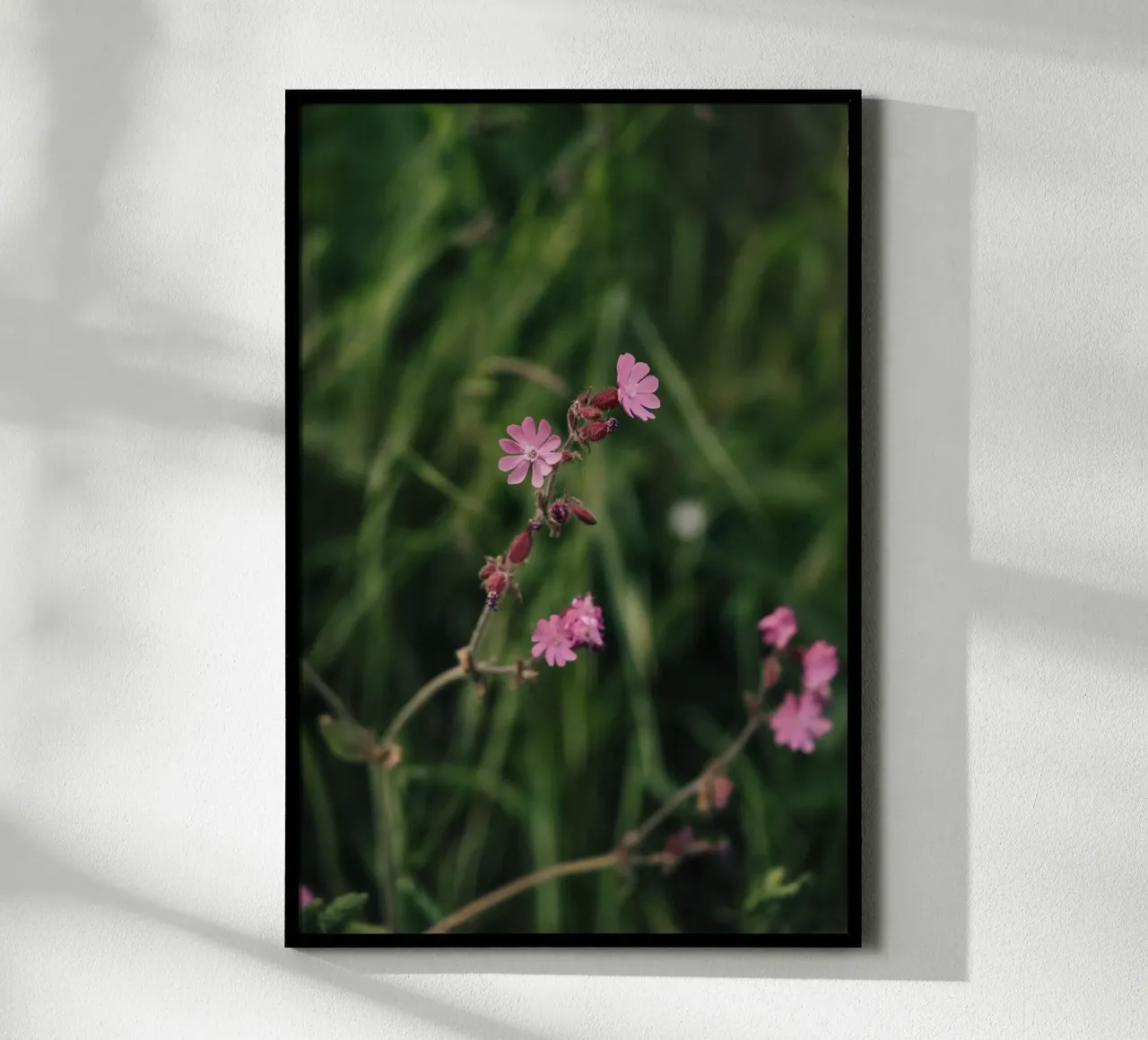Grace Amidst Darkness poster da Lena Stamm