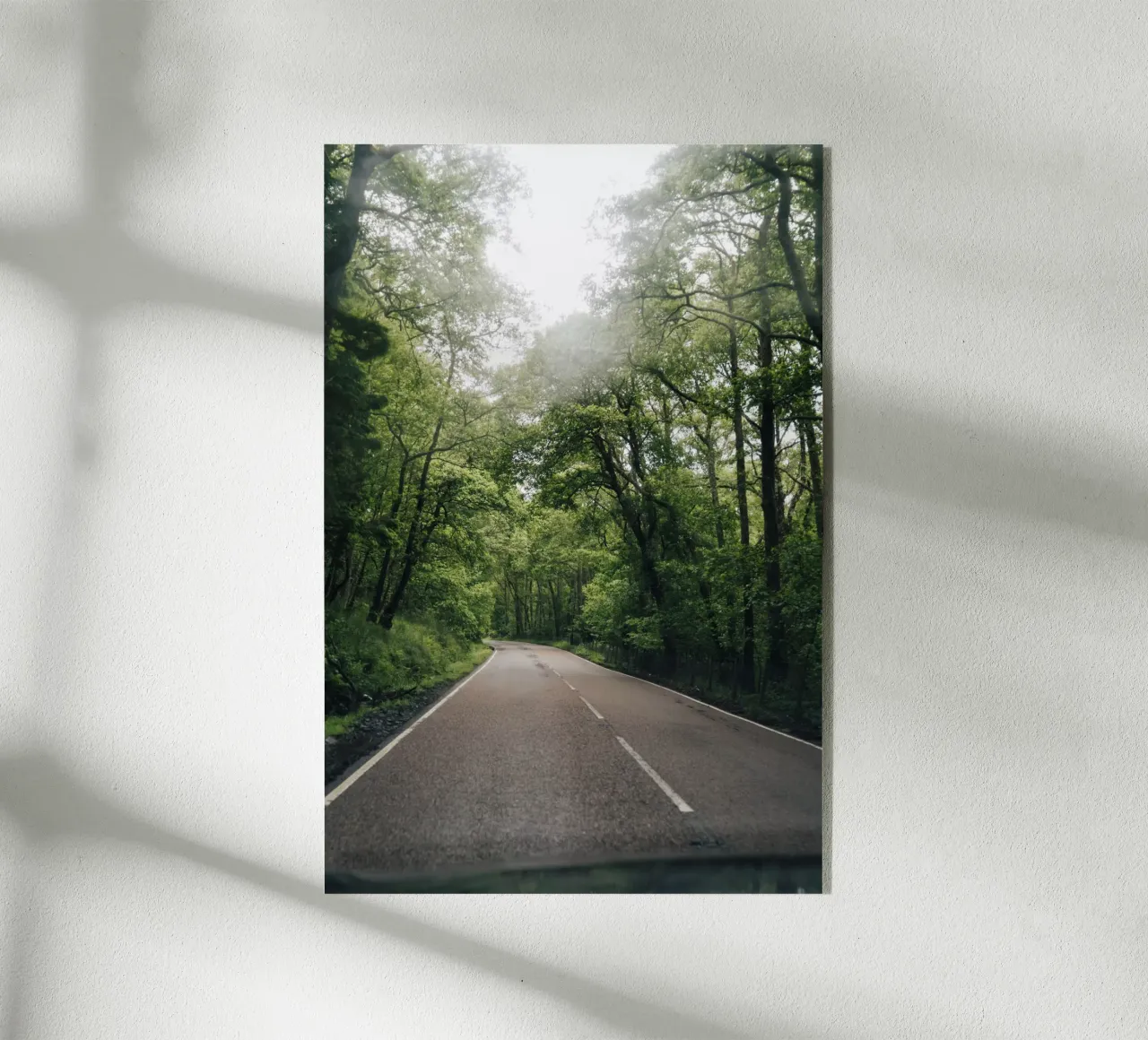 Forest Road acryl van Lena Stamm