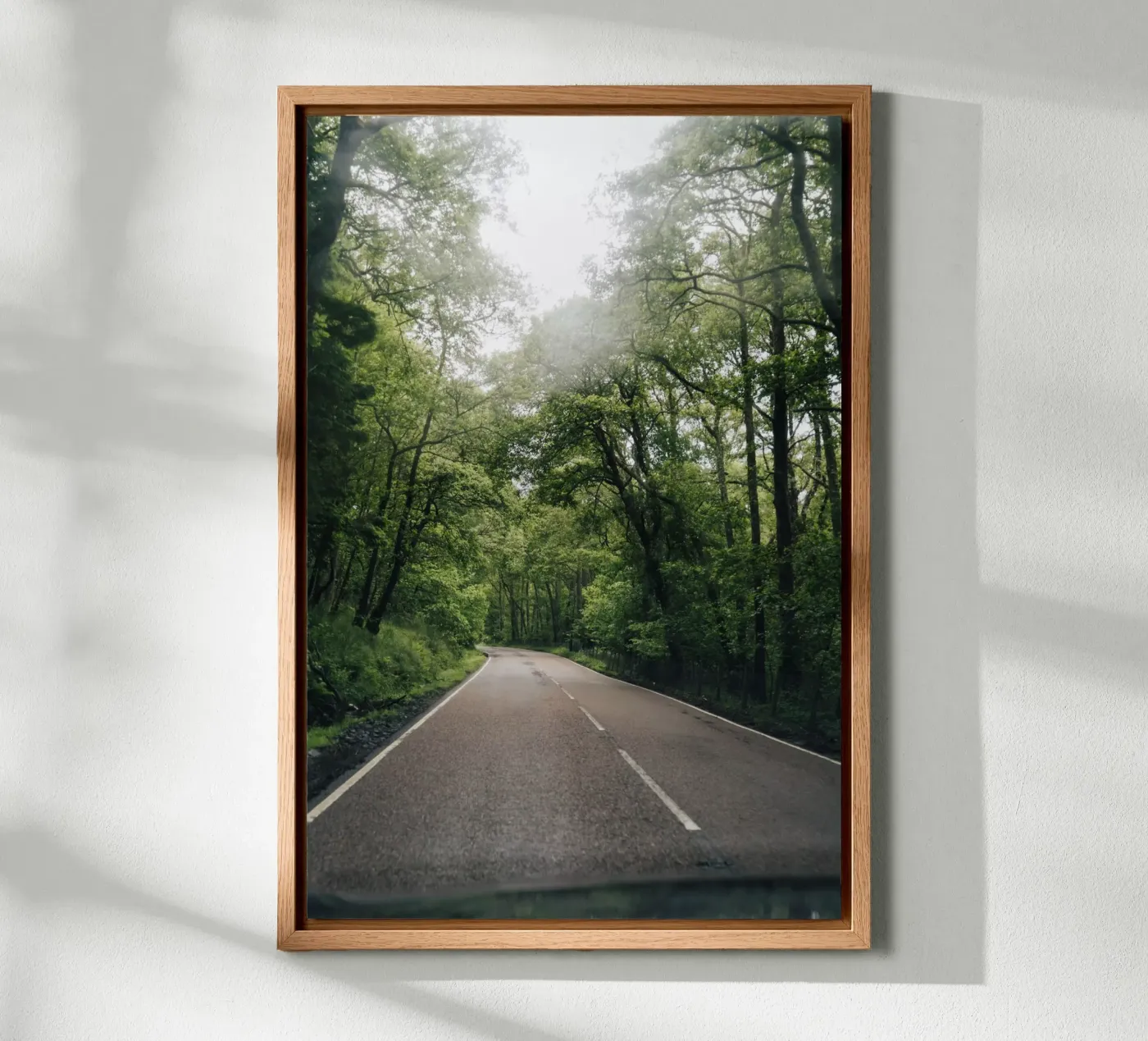 Forest Road alluminio dibond da Lena Stamm