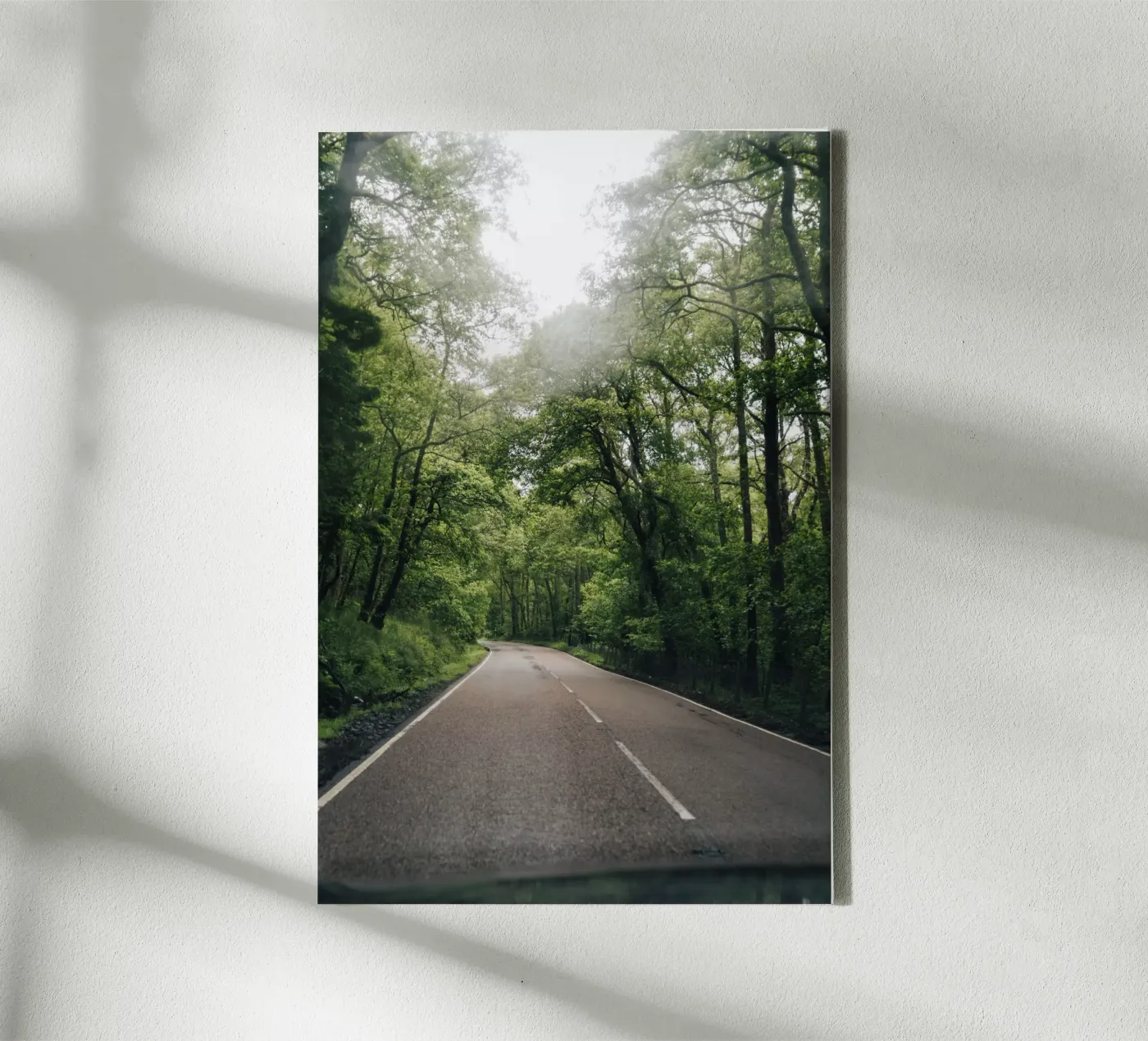 Forest Road tela da Lena Stamm