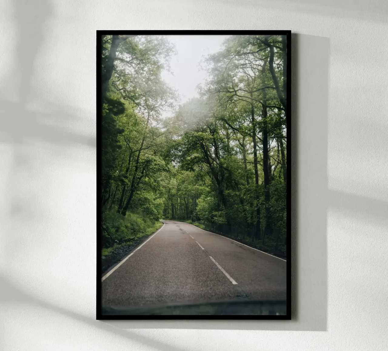 Forest Road poster da Lena Stamm