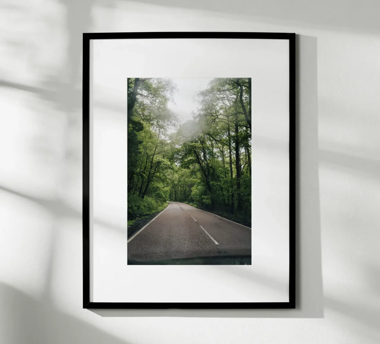 Forest Road poster da Lena Stamm